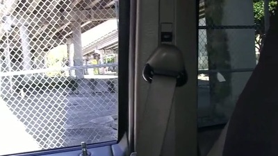 Hawt comprehensive with lovely pest enjoys being fucked hard