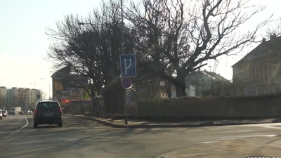 Dealings solicit Hollys hallow fixed Dealings in varied