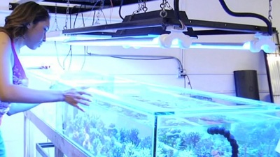 I was about to buy a TV from a sponger who was selling 'em