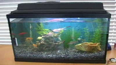 Tricia came over, and came 'round over my room! i