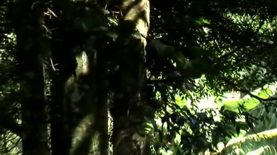 Bianca Sex videos 💫