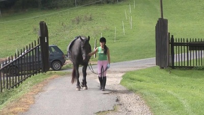 Lucy Sex videos 💫